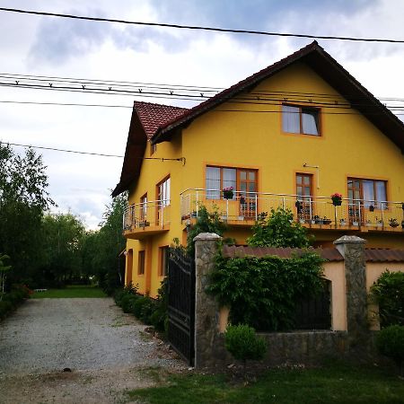 Pensiunea Ramona Carpinisu Bagian luar foto
