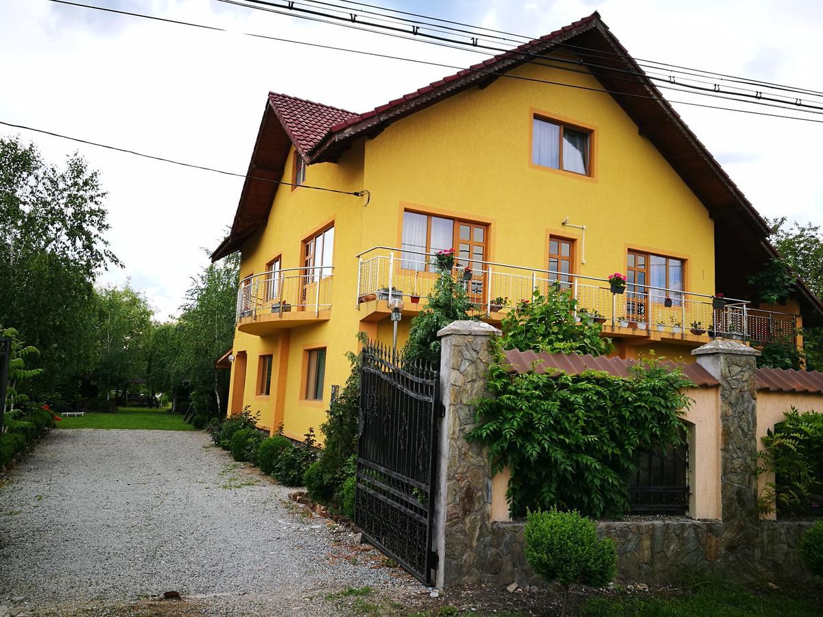 Pensiunea Ramona Carpinisu Bagian luar foto