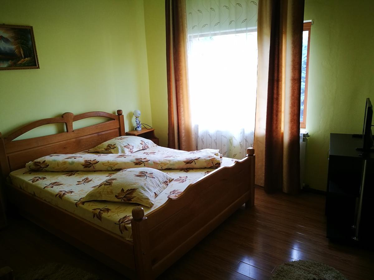 Pensiunea Ramona Carpinisu Bagian luar foto