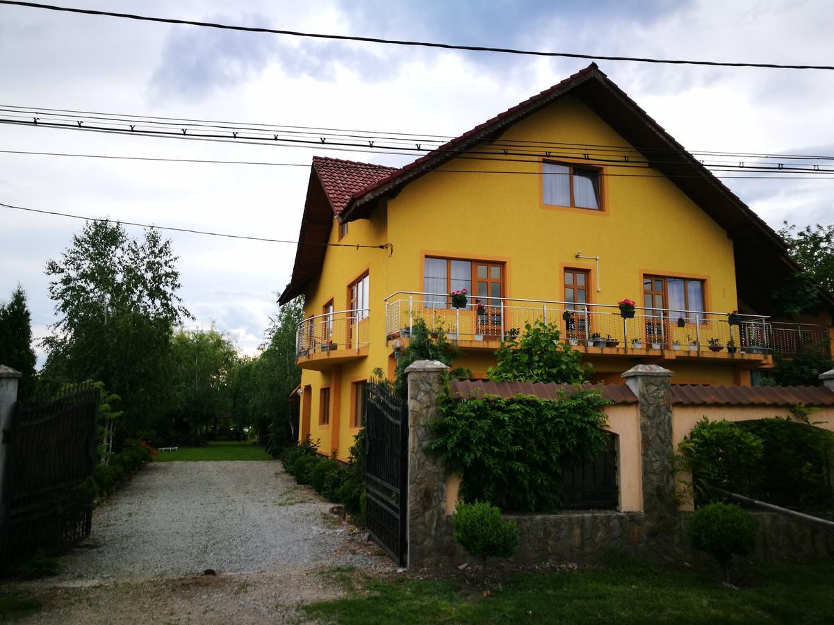 Pensiunea Ramona Carpinisu Bagian luar foto