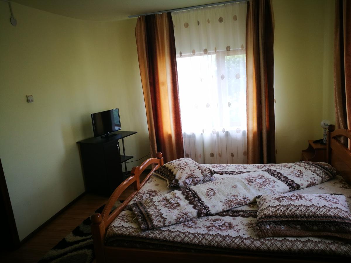 Pensiunea Ramona Carpinisu Bagian luar foto