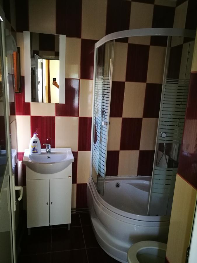 Pensiunea Ramona Carpinisu Bagian luar foto