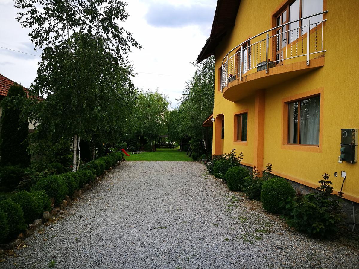 Pensiunea Ramona Carpinisu Bagian luar foto