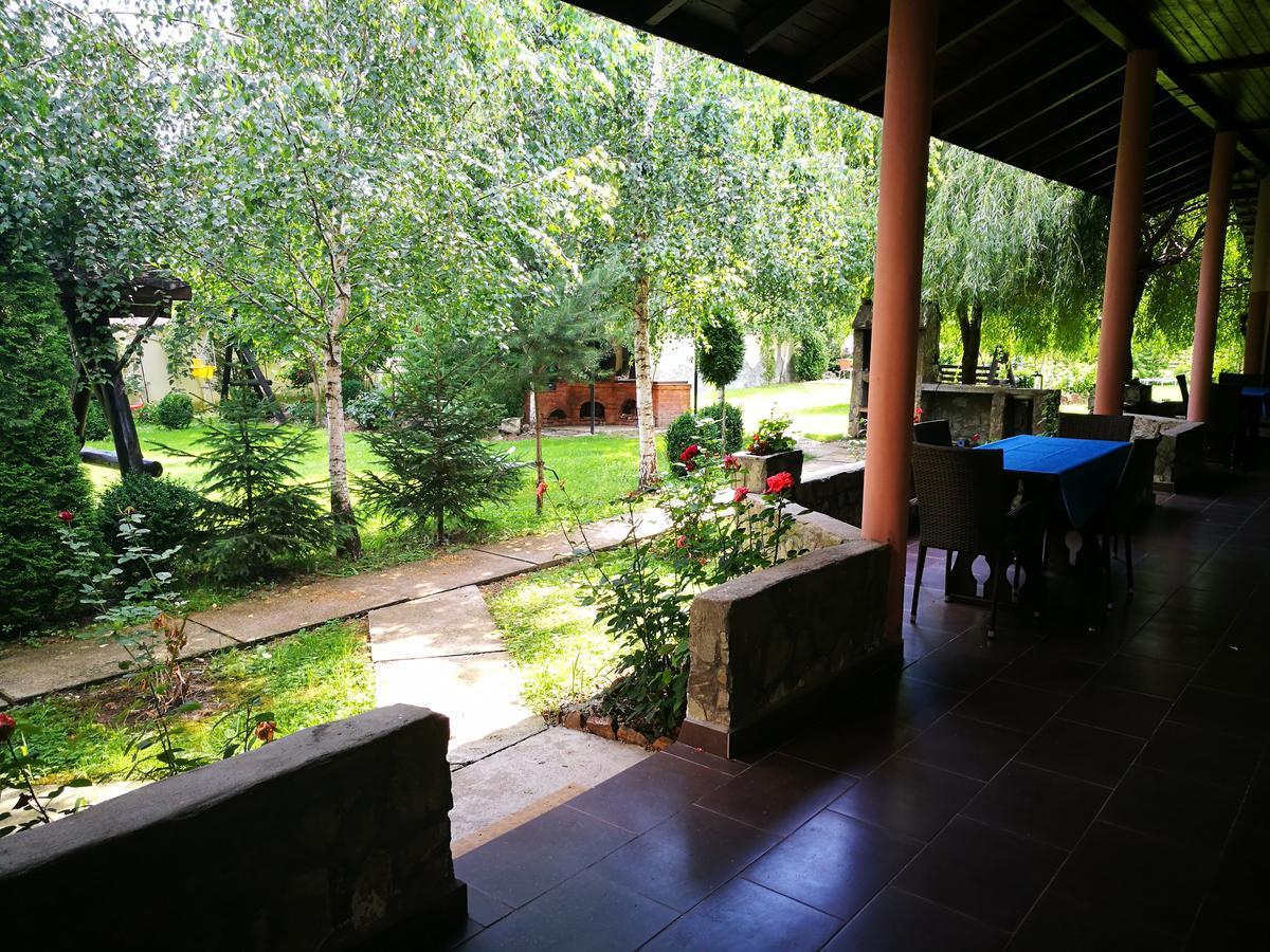 Pensiunea Ramona Carpinisu Bagian luar foto