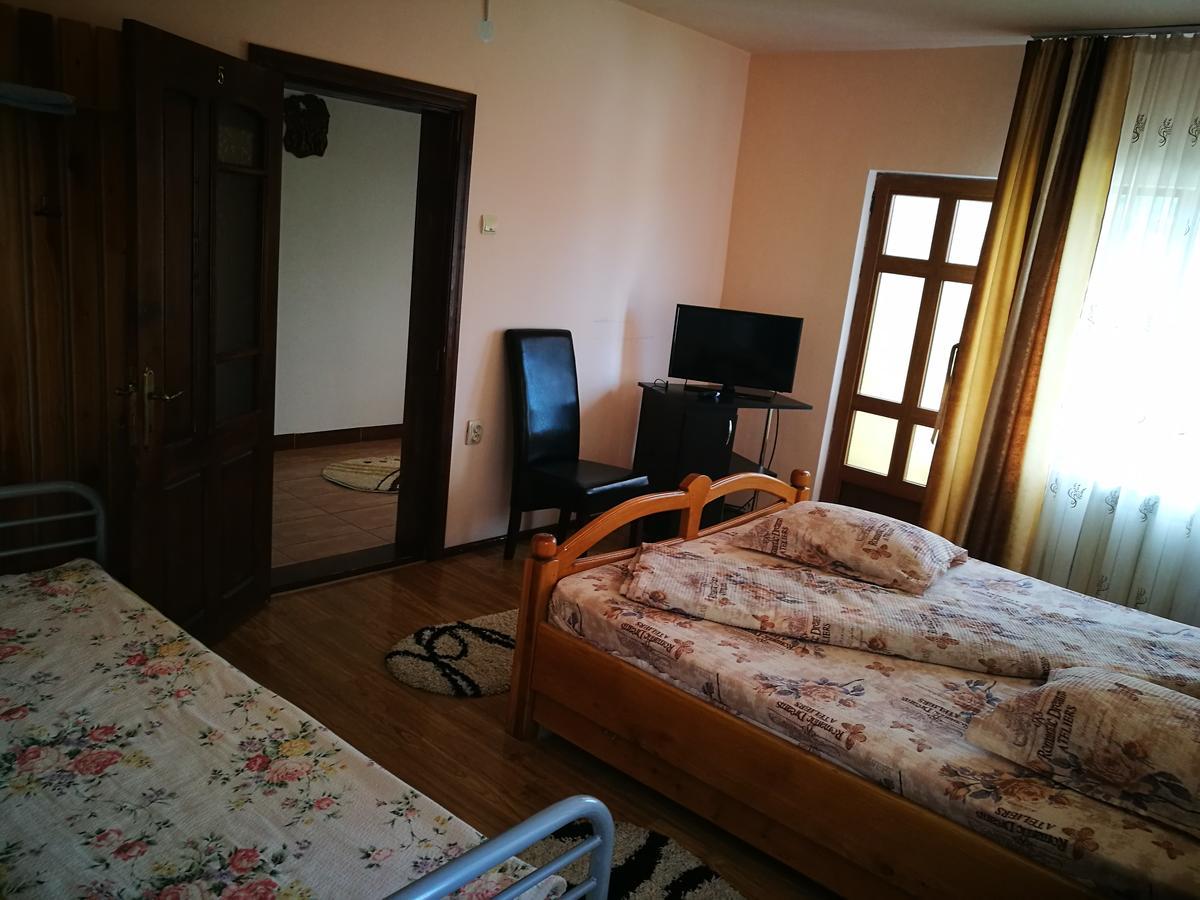 Pensiunea Ramona Carpinisu Bagian luar foto