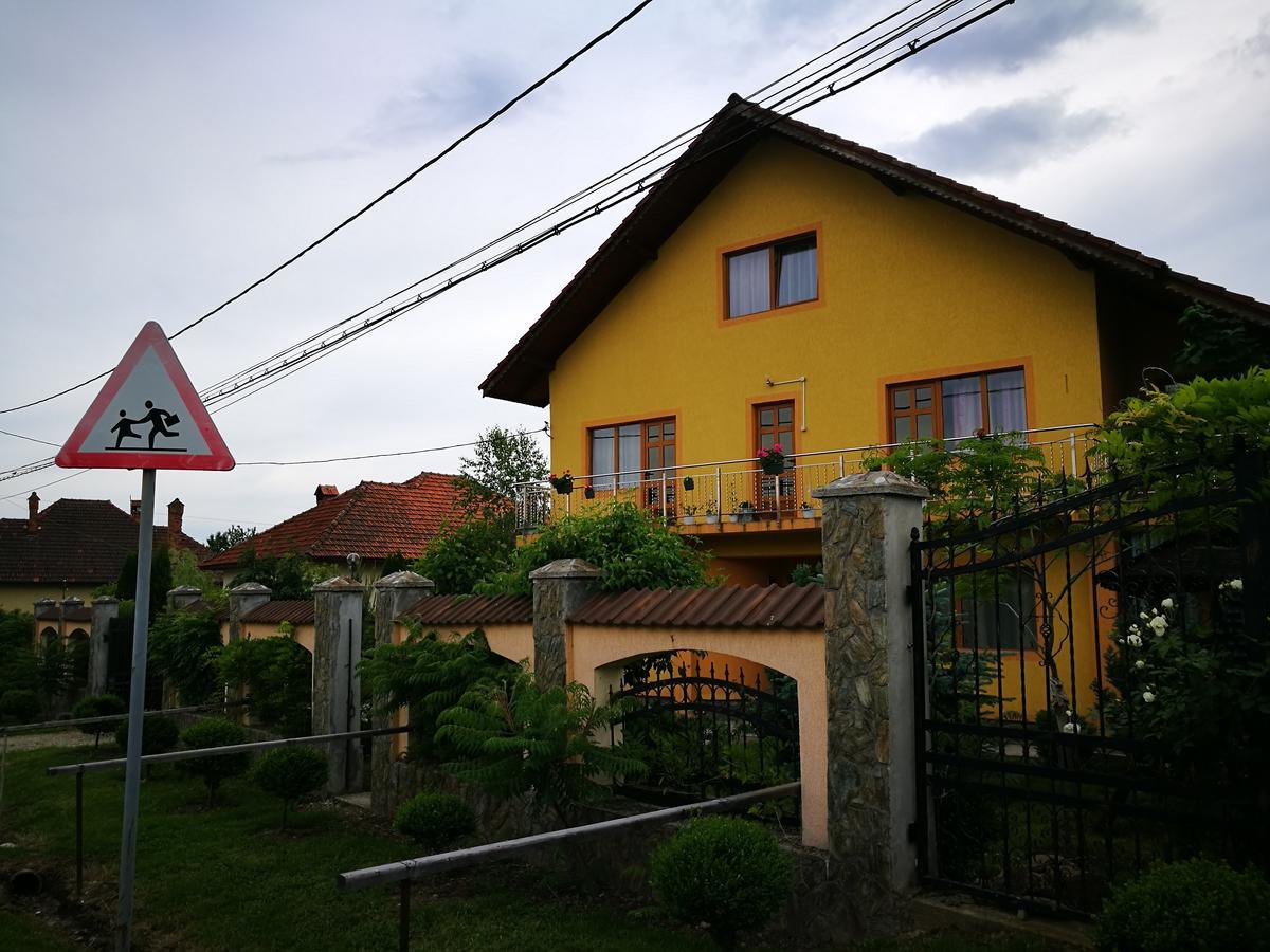 Pensiunea Ramona Carpinisu Bagian luar foto