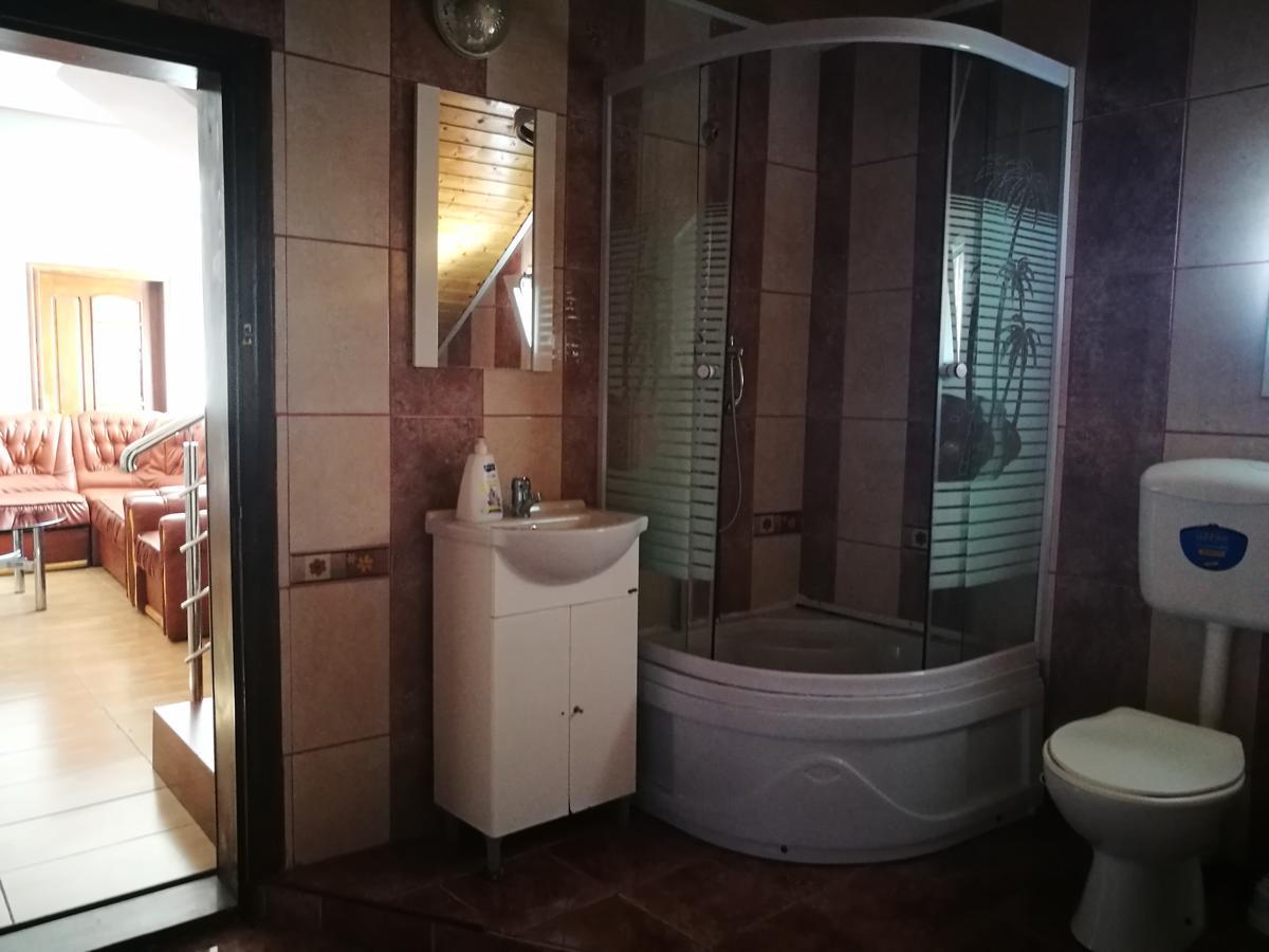Pensiunea Ramona Carpinisu Bagian luar foto