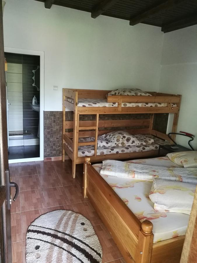 Pensiunea Ramona Carpinisu Bagian luar foto